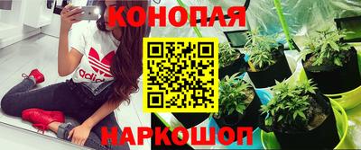 метадон Ипатово