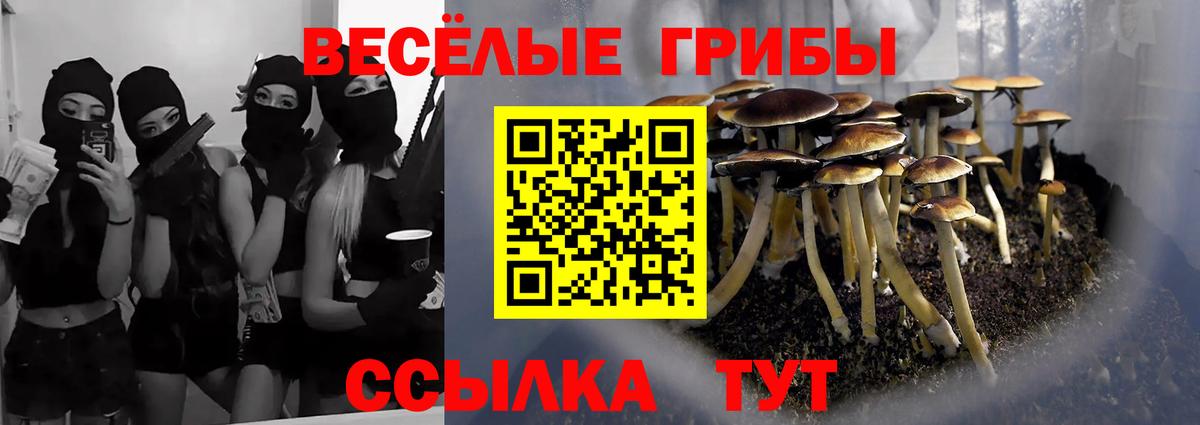 Псилоцибиновые грибы Psilocybe  Вход с VPN  Галлюциногенные грибы прущие грибы  купить наркоту  Губкинский 